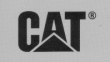 Caterpillar